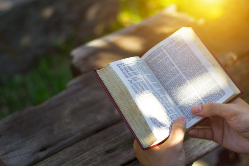 the wooden rosary on the open Bible