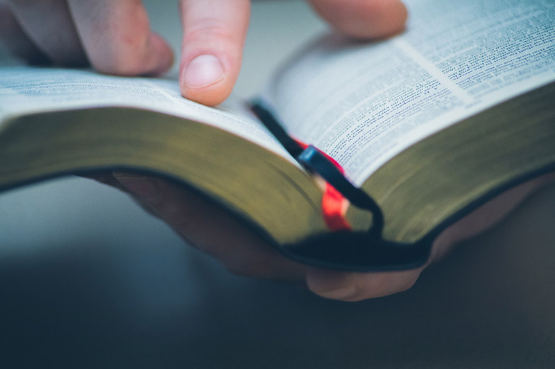 the wooden rosary on the open Bible